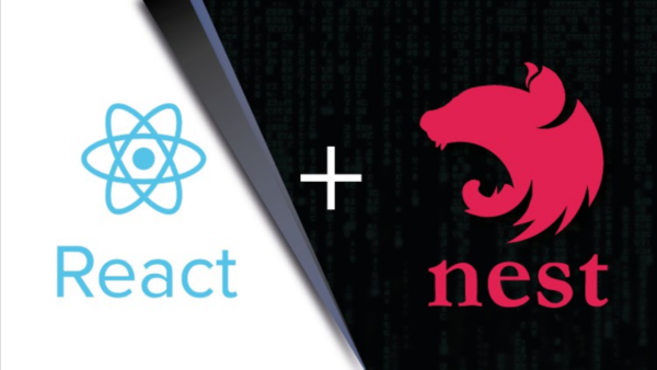 Nest.js e React.js do Zero ao Avançado com Typescript 2023 Download ...