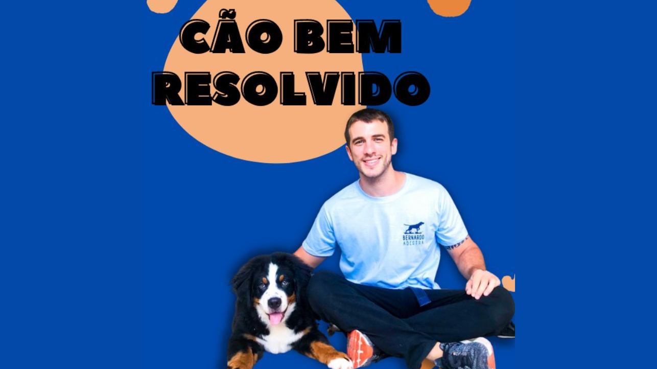 Cão Bem Resolvido 2023 – Bernardo Nogueira Download