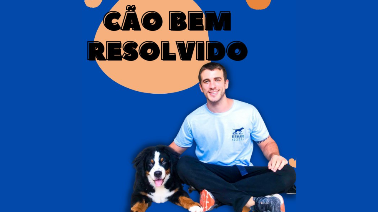 Cão Bem Resolvido 2023 - Bernardo Nogueira Download