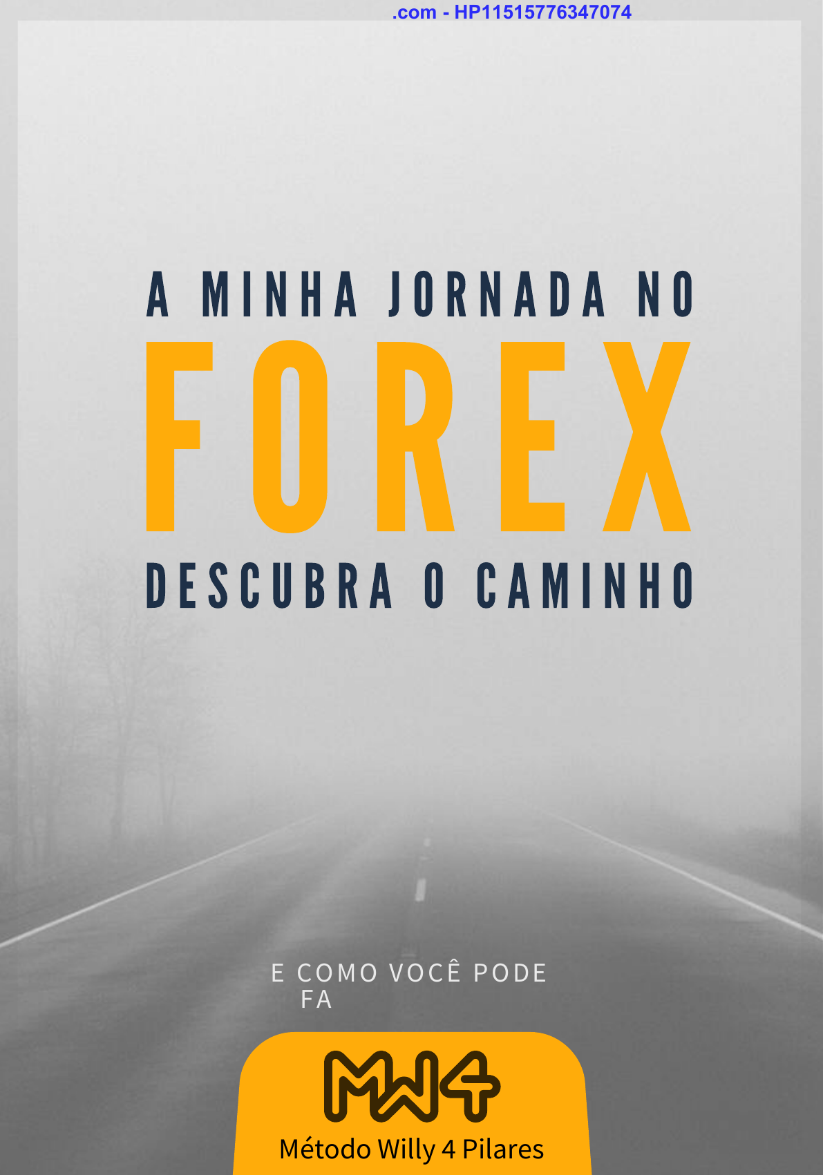 A Sua Jornada no Forex - Willy Heine Download