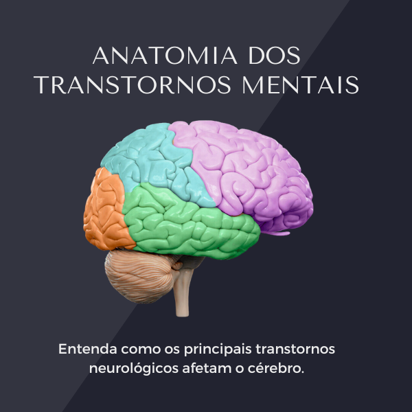 Anatomia dos Transtornos Mentais - Rafaela Rocha Download