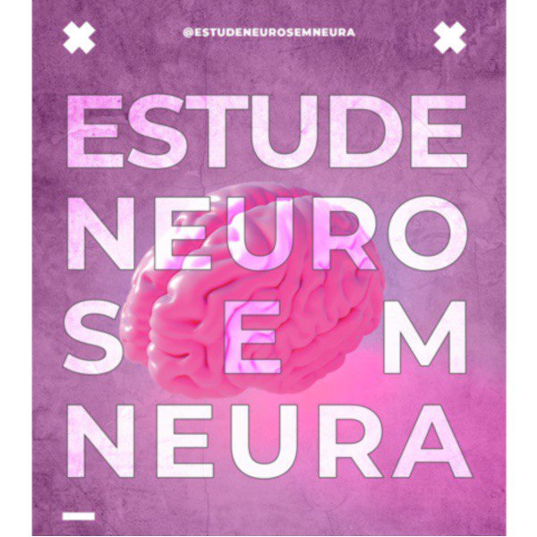 Estude Neuro Sem Neura - Rafaela Rocha